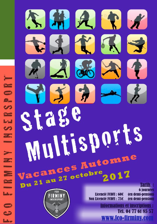 Stage automne 2017