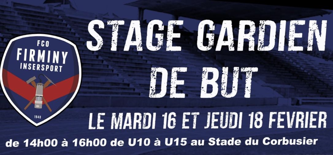 Stage gardiens de but